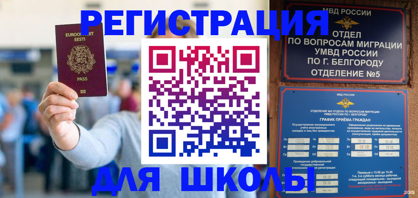 регистрация в Алексине